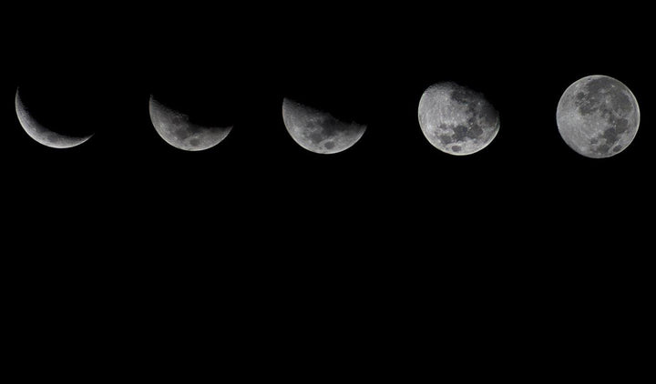 Gardening by the Moon