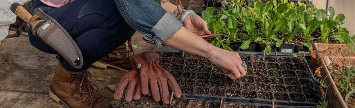 How To Plant A Container Garden