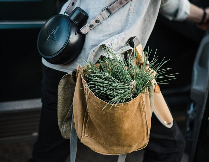 Whiskey & Pine: Infuse Nature into Your Cocktail