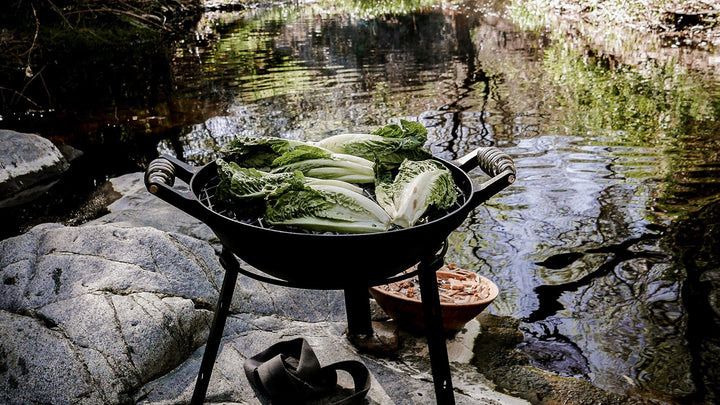 2 Grilled Salads To Make With The AIO Grill