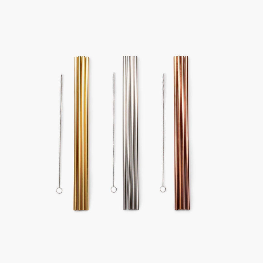 Porter Reusable Metal Straw Set